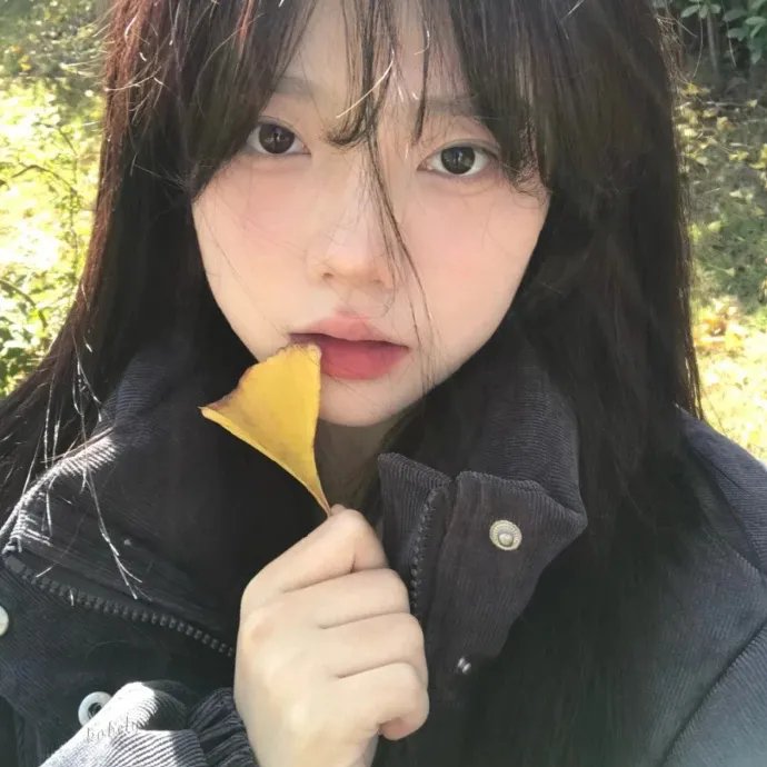 美好的一年
